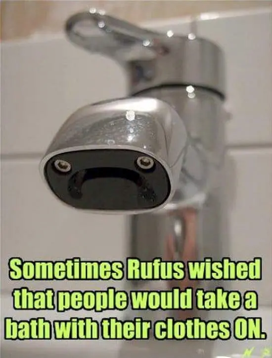 rufus sad faucet