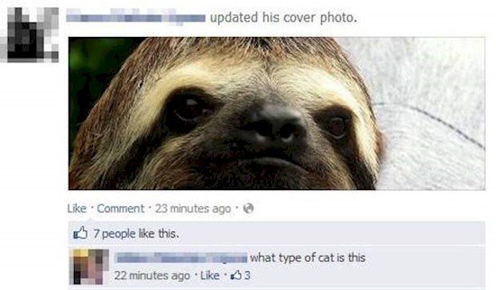 sloth social media