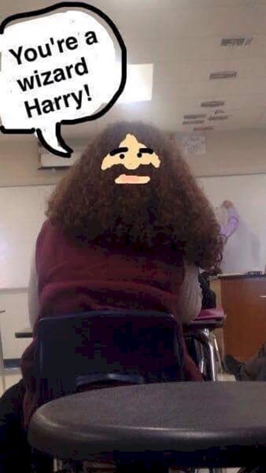 snapchat-hagrid