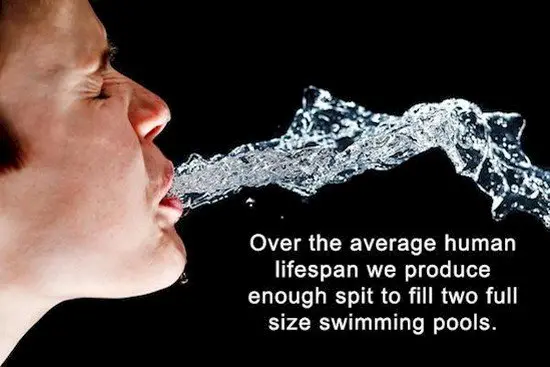 person spitting water with spit fact 