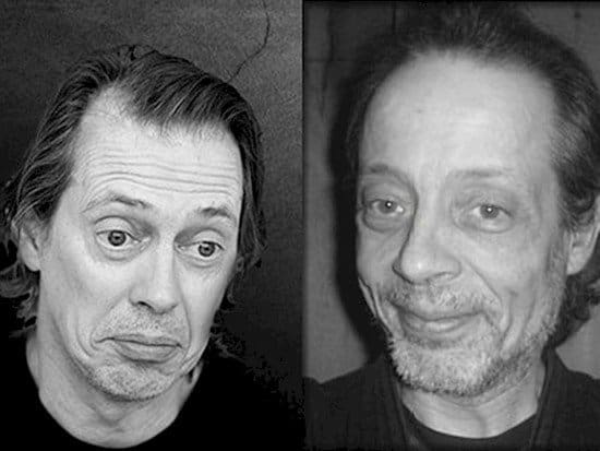 steve buscemi lookalike