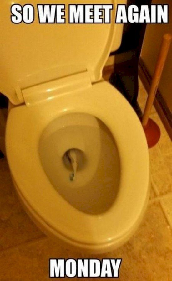 tooth brush toilet