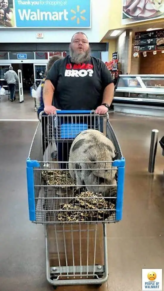 14 Photos Showing The Strange Things That Happen In Walmart