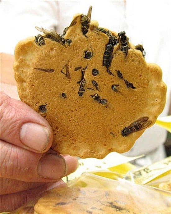 wasp rice cracker