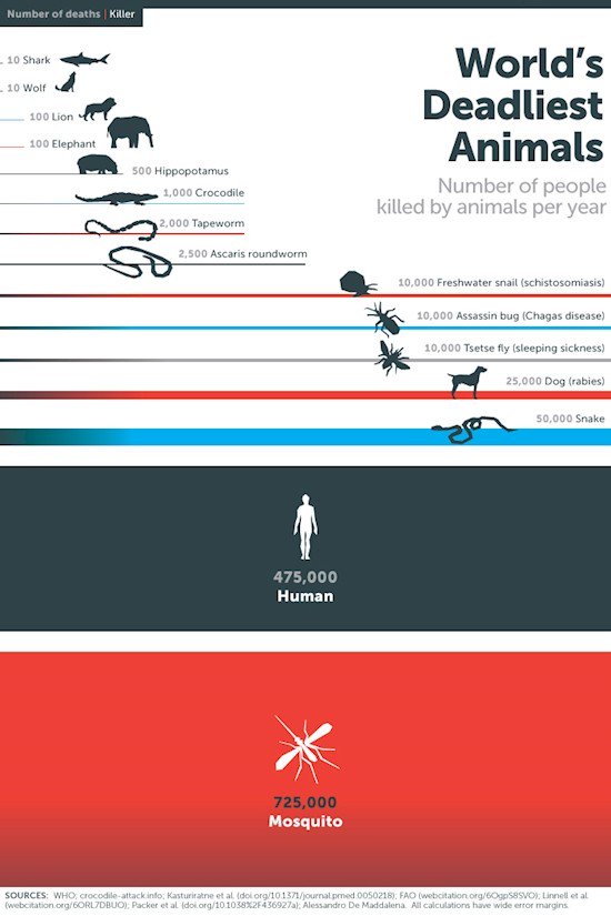 worlds deadliest animals