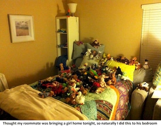 worst-roommates-stuffed-animals
