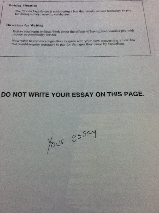 your essay