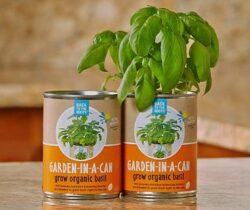 Basil-In-A-Can