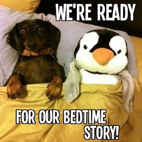 Bedtime Story