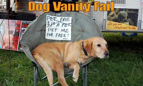 Dog Vanity
