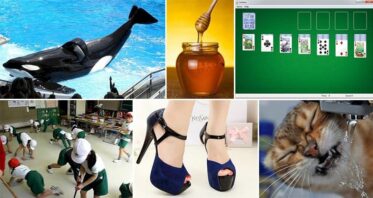 10 Fascinating Facts You Probably Didn't Know