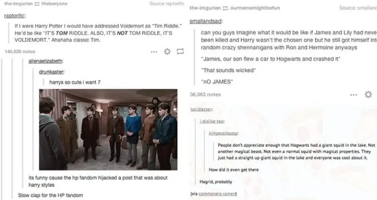 'Harry Potter' Fans Hilarious Tumblr