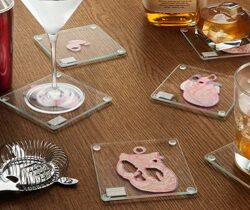 Heart Specimen Coasters