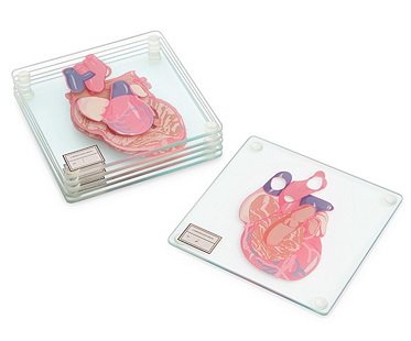 Heart Specimen Coasters anatomic glass