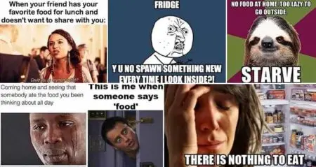 Hilarious Memes Relationship With Food