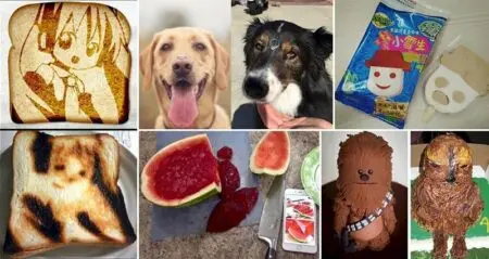 Hilarious Times Expectations Reality