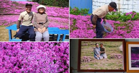 Husband Plants Scented Flowers Blind Wife