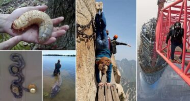 14 Images That Will Give You Nightmares