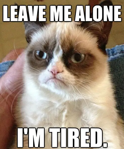 leave me alone im tired cat meme