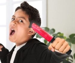 Samurai Sword Popsicle Molds ice pop