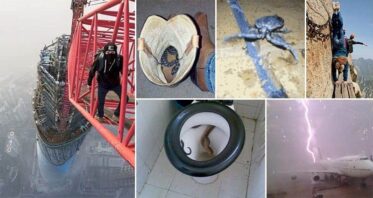 Scary Images You'll Be Glad You Weren't Involved In