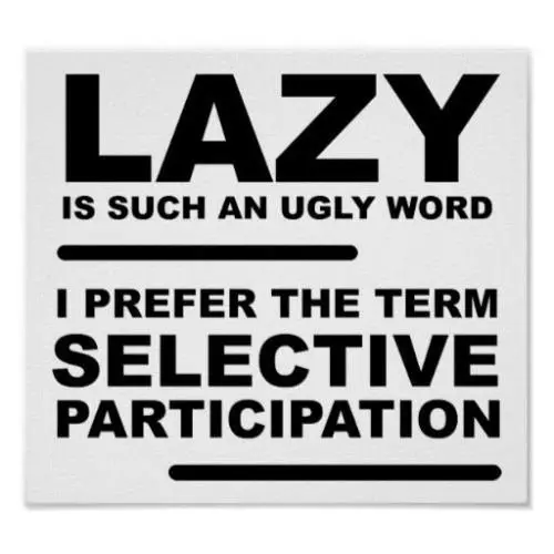 lazy is an ugly word i prefer Selective Participation