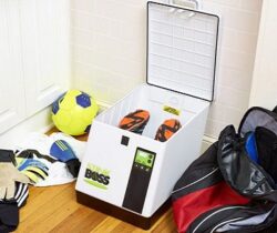 Shoe Deodorizer And Sanitizer