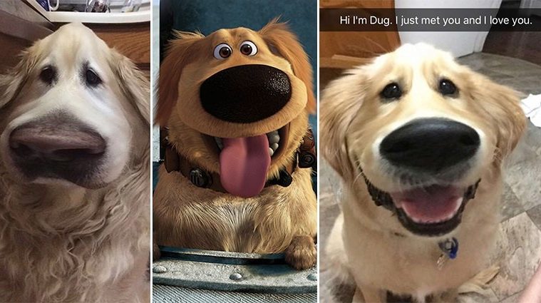 'Snapchat' Filter Dog 'Up'