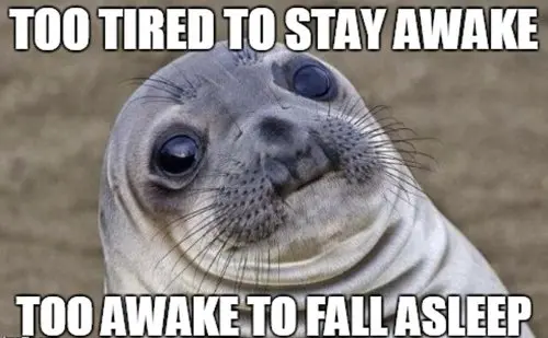 seal meme with text too tired to stay awake too awake to fall asleep