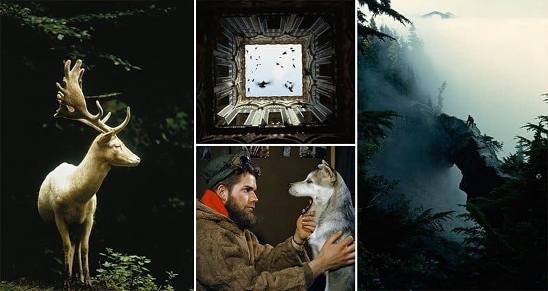 16 Amazing Unpublished Photos From The 'National Geographic's' Archives