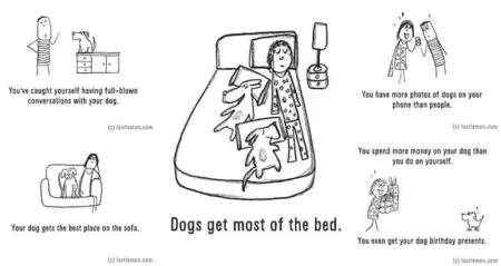 Ways Becoming Crazy Dog Person