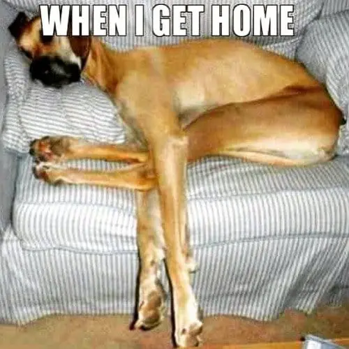 When I Get Home