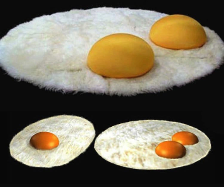 carpet-eggs