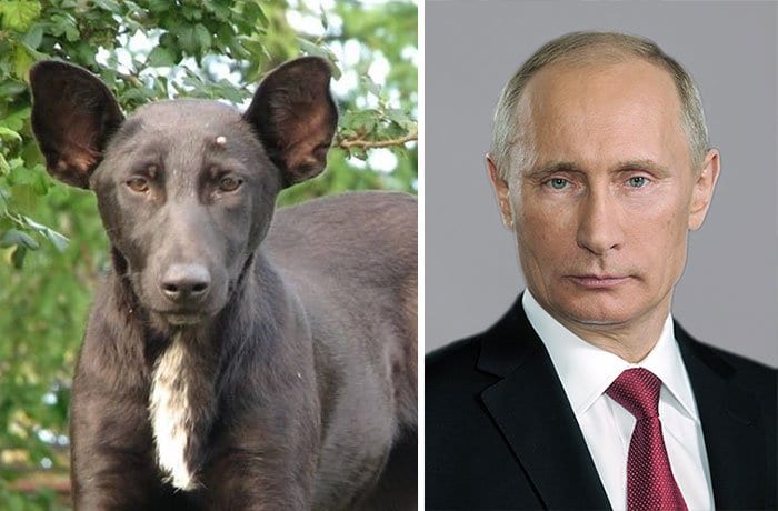 celeb-putin