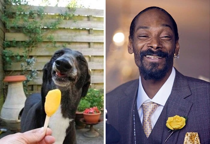 celeb-snoop-dog