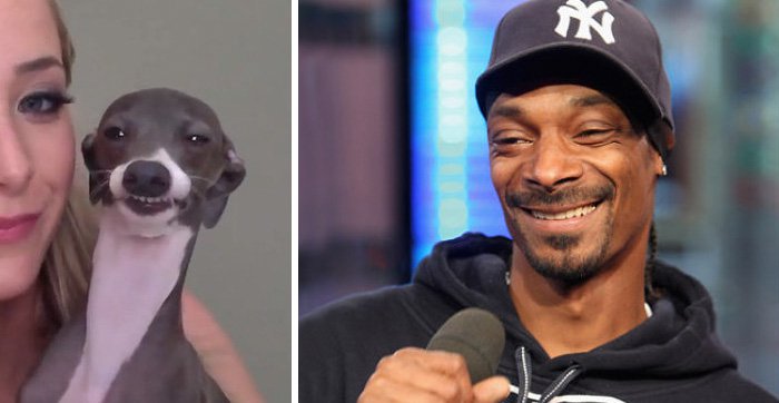 celeb-snoop