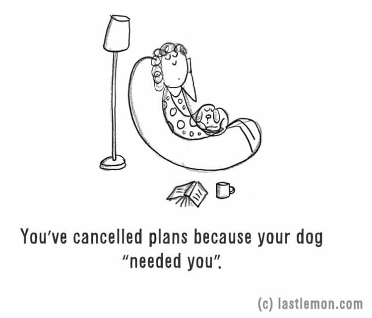 crazy-dog-person-cancel