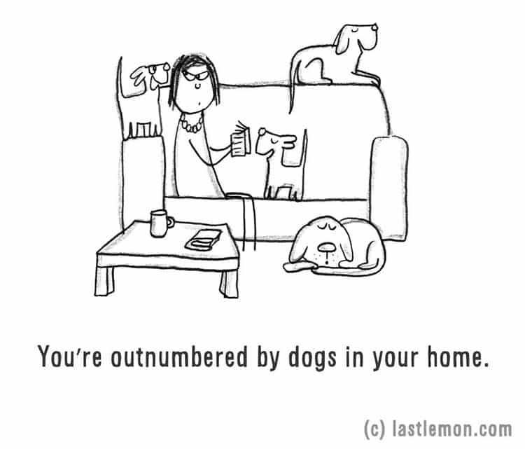 crazy-dog-person-outnumbered