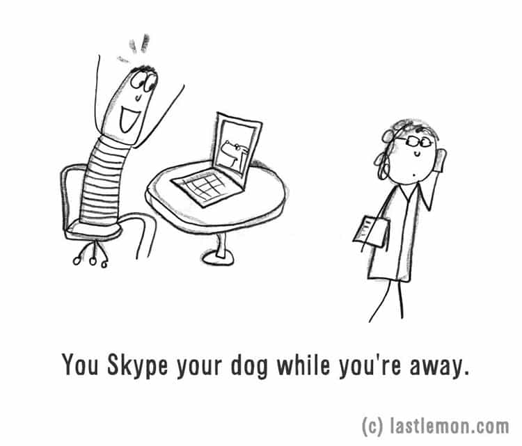 crazy-dog-person-skype