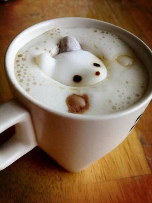 cute creature latte