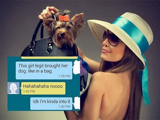 dog bag text