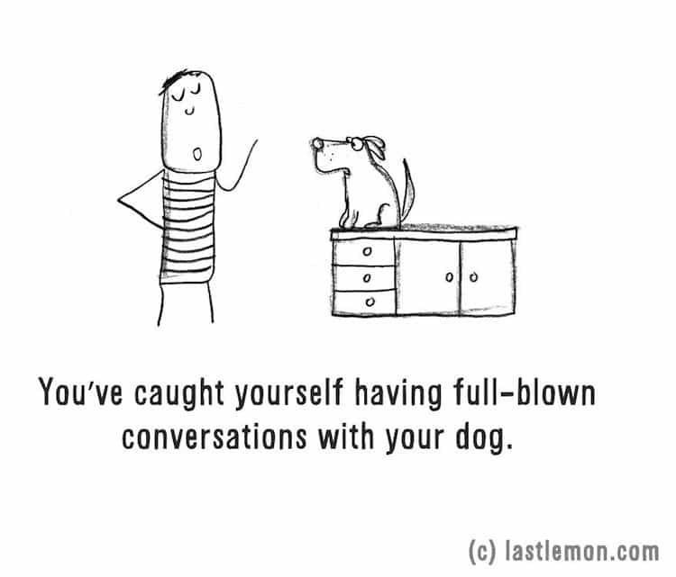 dog-conversation
