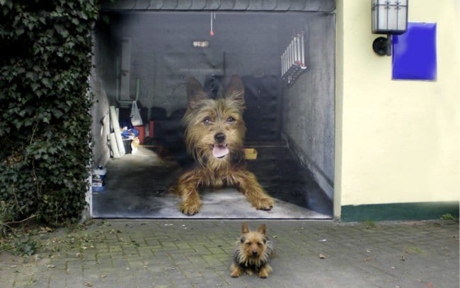 dog garage