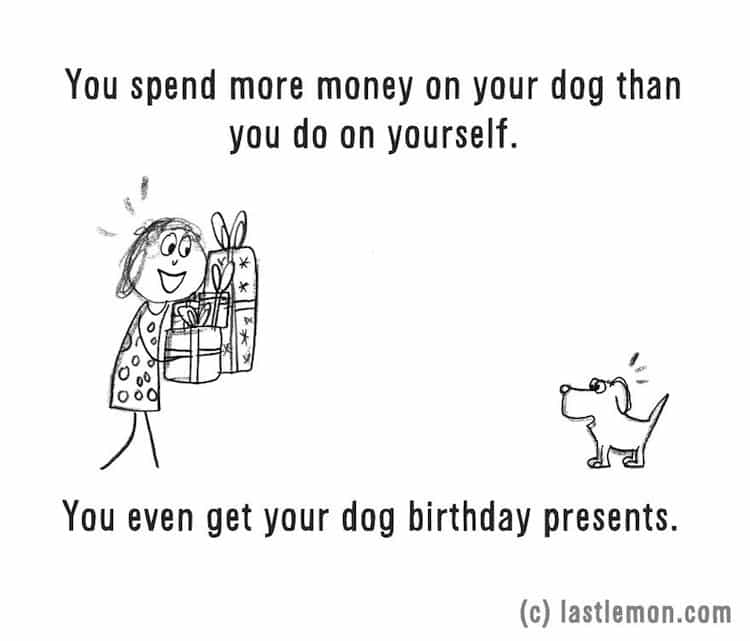 dog-money