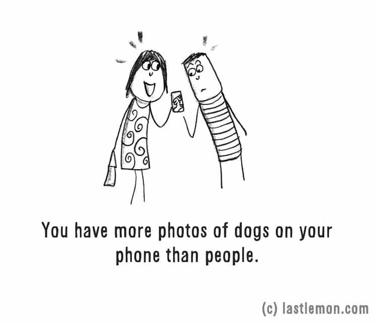 dog-photos