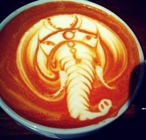 elephant latte