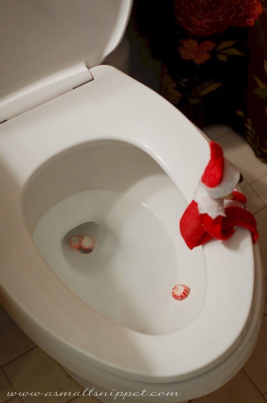 elf poop