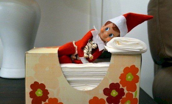 elf tissue box