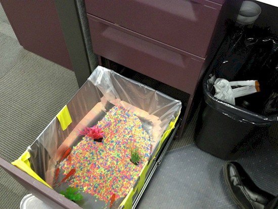 14 Awesome Office Pranks To Annoy Your Colleagues