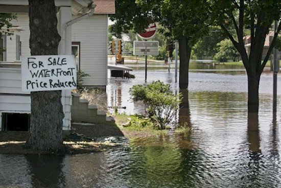 flood property joke